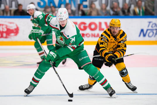 Rögles Adam Edström och Skellefteås Jayce Hawryluk
