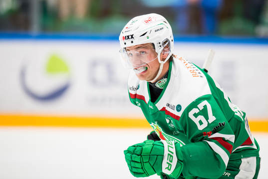 Rögles Leon Bristedt