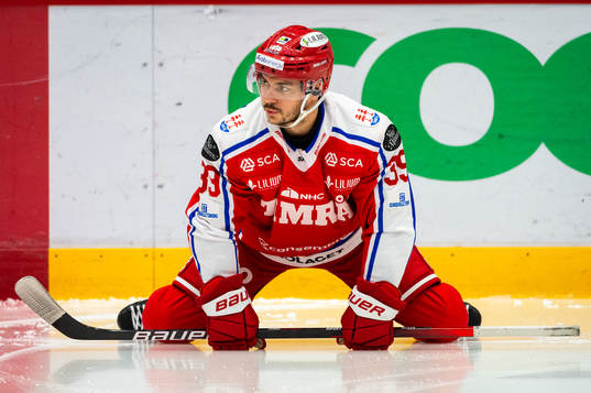 Timrås Ty Rattie