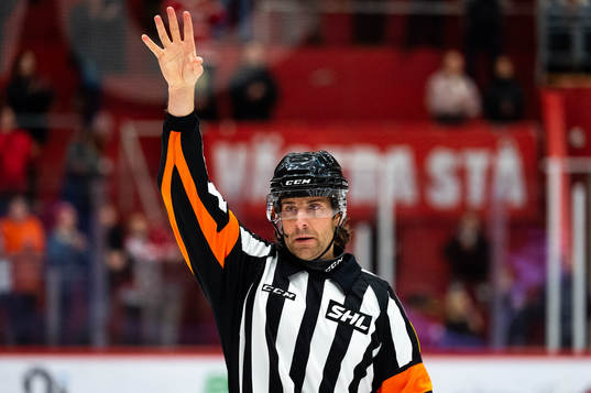 Domare Mikael Sjöqvist