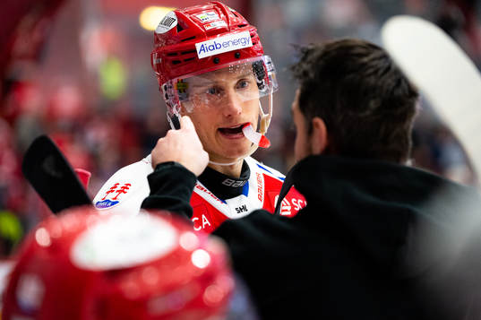 Timrås Robin Alvarez