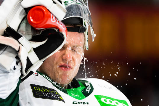 Färjestads målvakt Henrik Haukeland