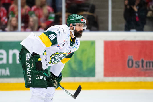 Björklövens Daniel Rahimi