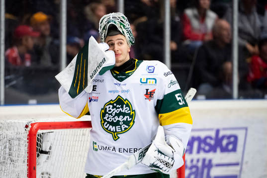 Björklövens målvakt Claes Endre