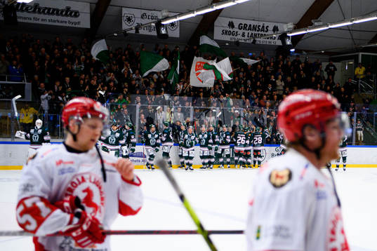Tingsryds spelare och supportrar jublar