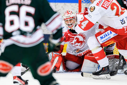 Troja-Ljungbys måvakt Linus Lundin
