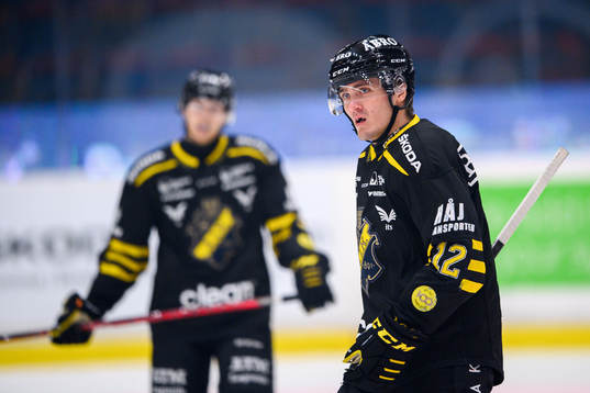 s Max Lindholm