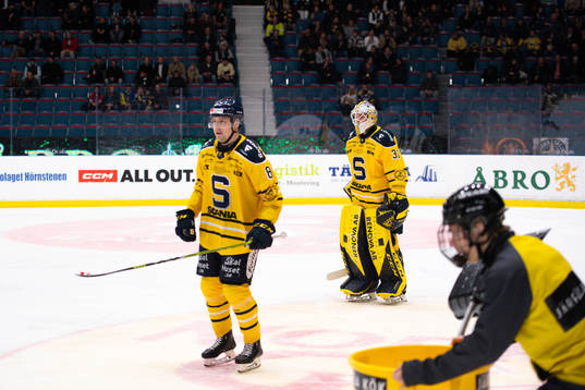 Södertäljes målvakt Nikita Tolopilo
