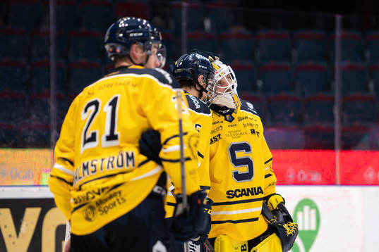Södertäljes målvakt Nikita Tolopilo deppar