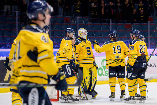 Södertäljes målvakt Nikita Tolopilo deppar