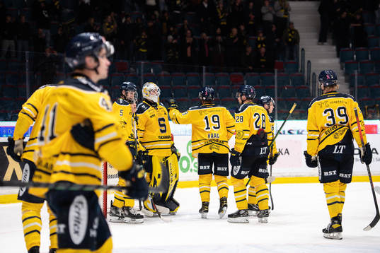 Södertäljes målvakt Nikita Tolopilo deppar