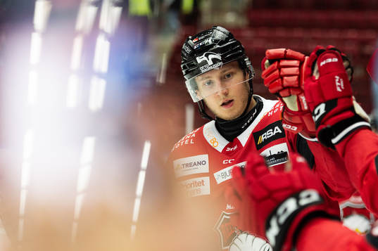 Malmö Redhawks Eric Engstrand jublar
