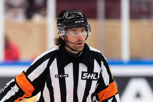 Domare Mikael Sjöqvist