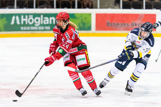 Modos Ebba Hedqvist