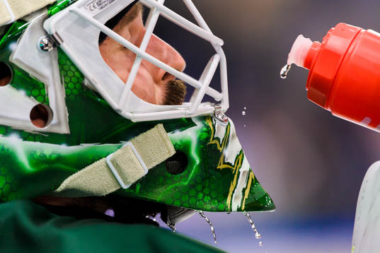 Färjestads målvakt Dominik Furch