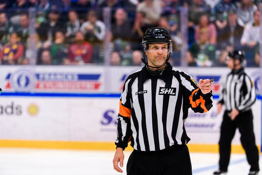 Domare Mikael Nord