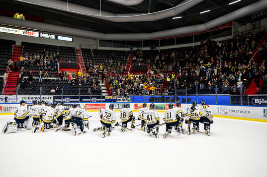 s spelare jublar med supportrar