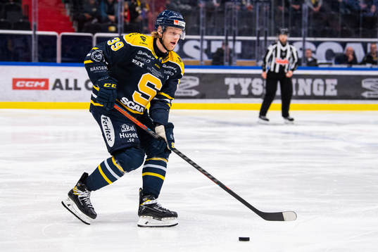 Södertäljes Brett Pollock