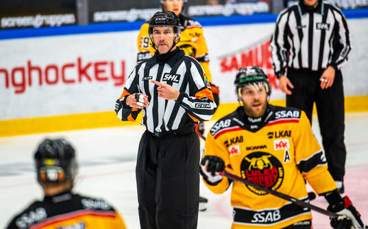 Domare Linus Öhlund