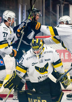 Västerås Ludvig Jardeskog, Mikael Frycklund och målvakt