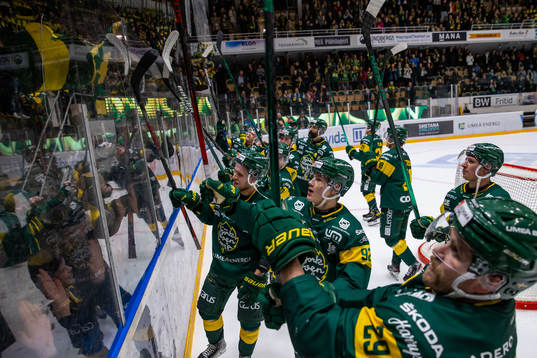 Björklöven jublar och tackar klacken