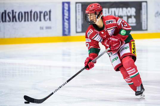 Bläddra bland fler bilder av Ishockey, SDHL, Modo - HV71