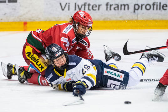 s Felizia Wikner-Zienkiewicz och Modos Erica Rieder