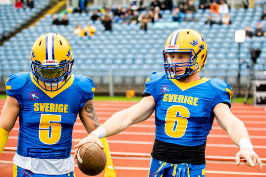 Sveriges William James