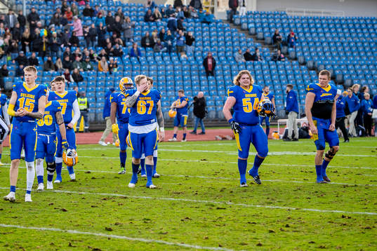 Sveriges spelarna deppar
