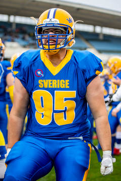 Sveriges Georgije Vasic