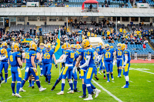 Sveriges spelarna