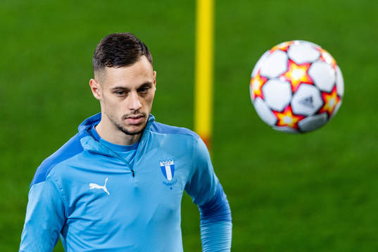 Veljko Birmancevic