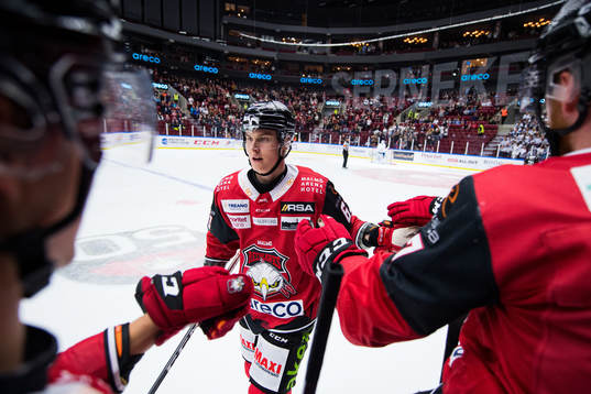 Bläddra bland fler bilder av Ishockey, SHL, Malmö Redhawks - Leksand