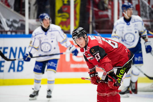Malmö Redhawks Fredrik Händemark deppar