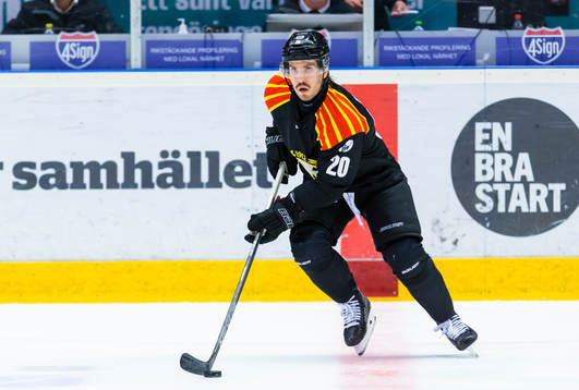 Brynäs Oula Palve
