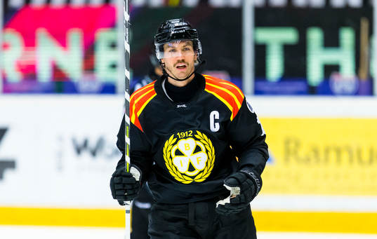 Brynäs Anton Rödin