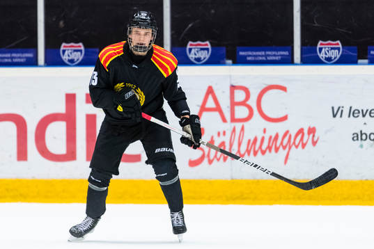 Brynäs Theo Lindstein