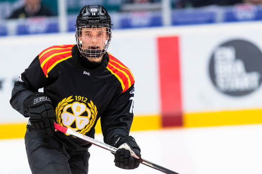 Brynäs Theo Lindstein