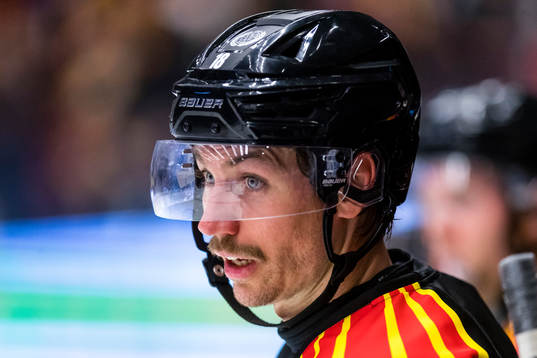 Brynäs Anton Rödin