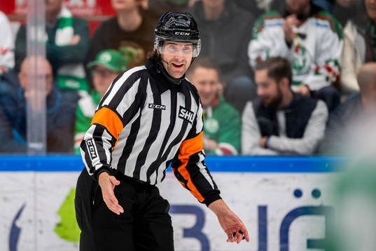 Domare Mikael Sjöqvist