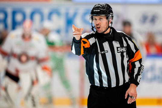 Domare Johan Magnusson