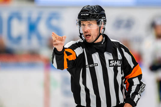 Domare Johan Magnusson