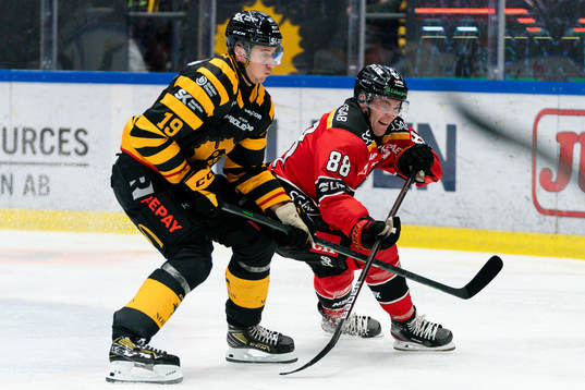 Skellefteås Filip Roos och Luleås Joonas Rask