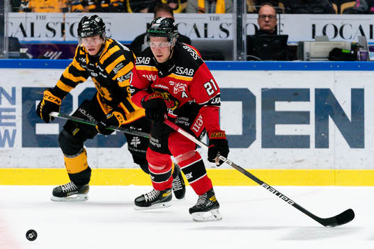 Luleås Juhani Tyrväinen och Skellefteås Rickard Hugg