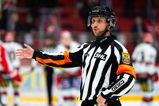 Domare Patric Bjälkander