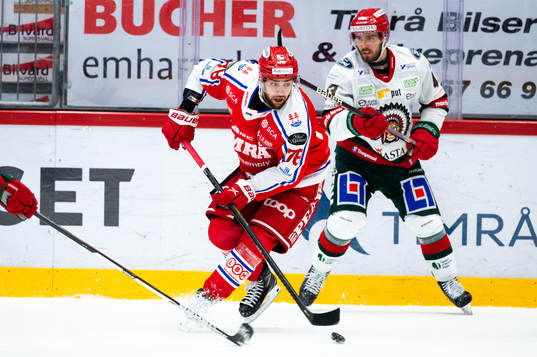 Timrås Robin Hanzl