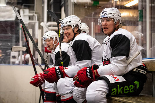 Adam Ollas Mattsson och Marcus Sylvegård