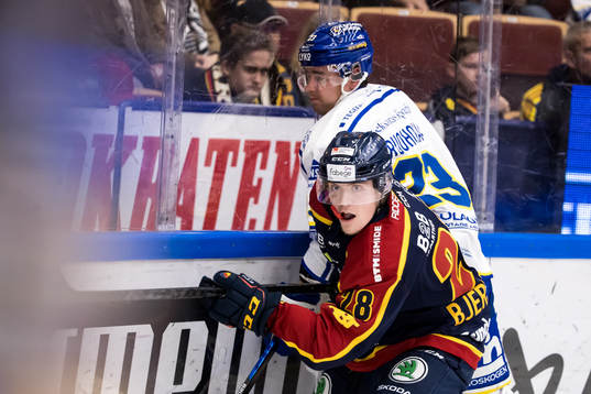 Djurgårdens Oscar Bjerselius och Leksands Mikael Ruohomaa