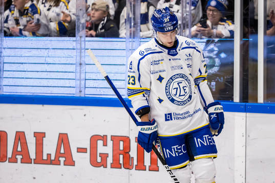 Leksands Mikael Ruohomaa deppar