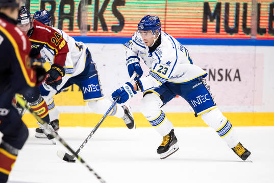 Leksands Mikael Ruohomaa
